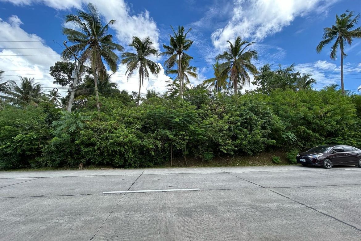 Land for Sale in Aliguay, Maribojoc, Bohol – photo 7