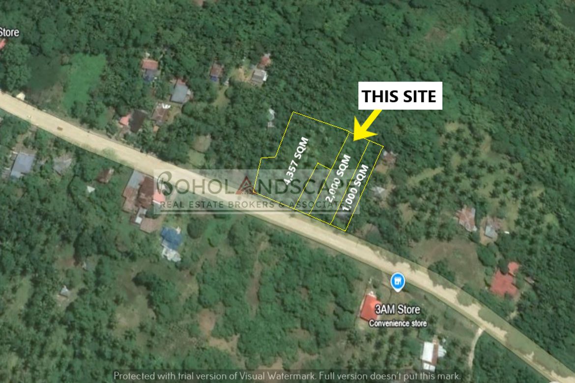 Land for Sale in Aliguay, Maribojoc, Bohol – photo 2