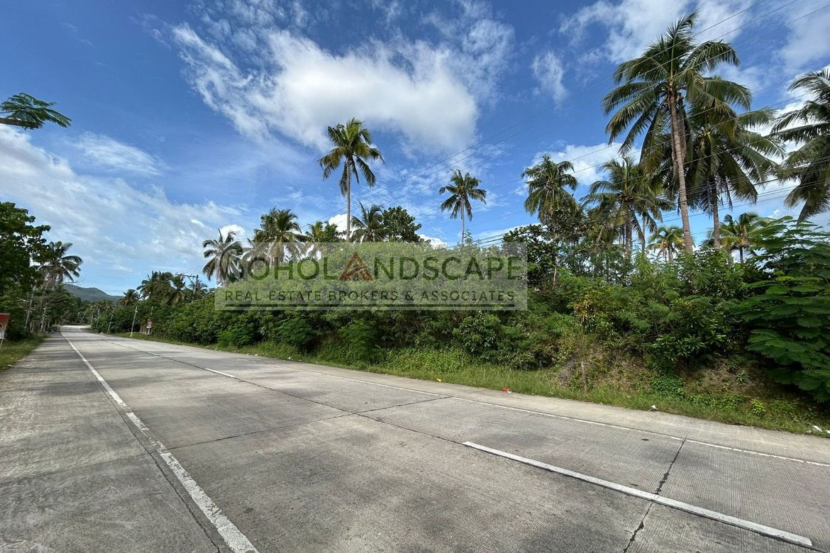 Land for Sale in Aliguay, Maribojoc, Bohol