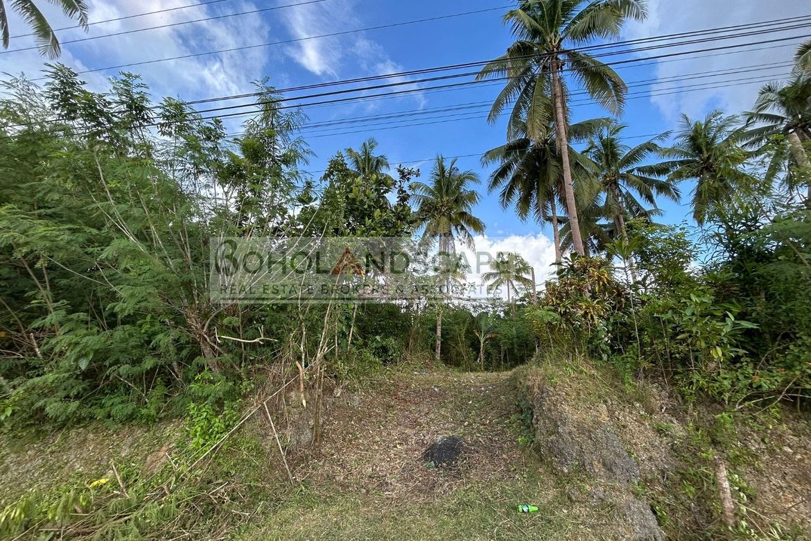 Land for Sale in Aliguay, Maribojoc, Bohol – photo 3