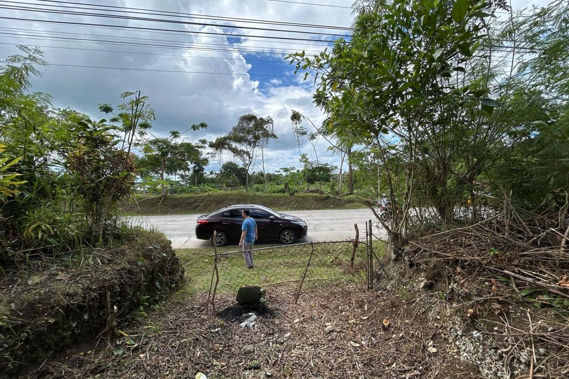 Land for Sale in Aliguay, Maribojoc, Bohol – photo 7
