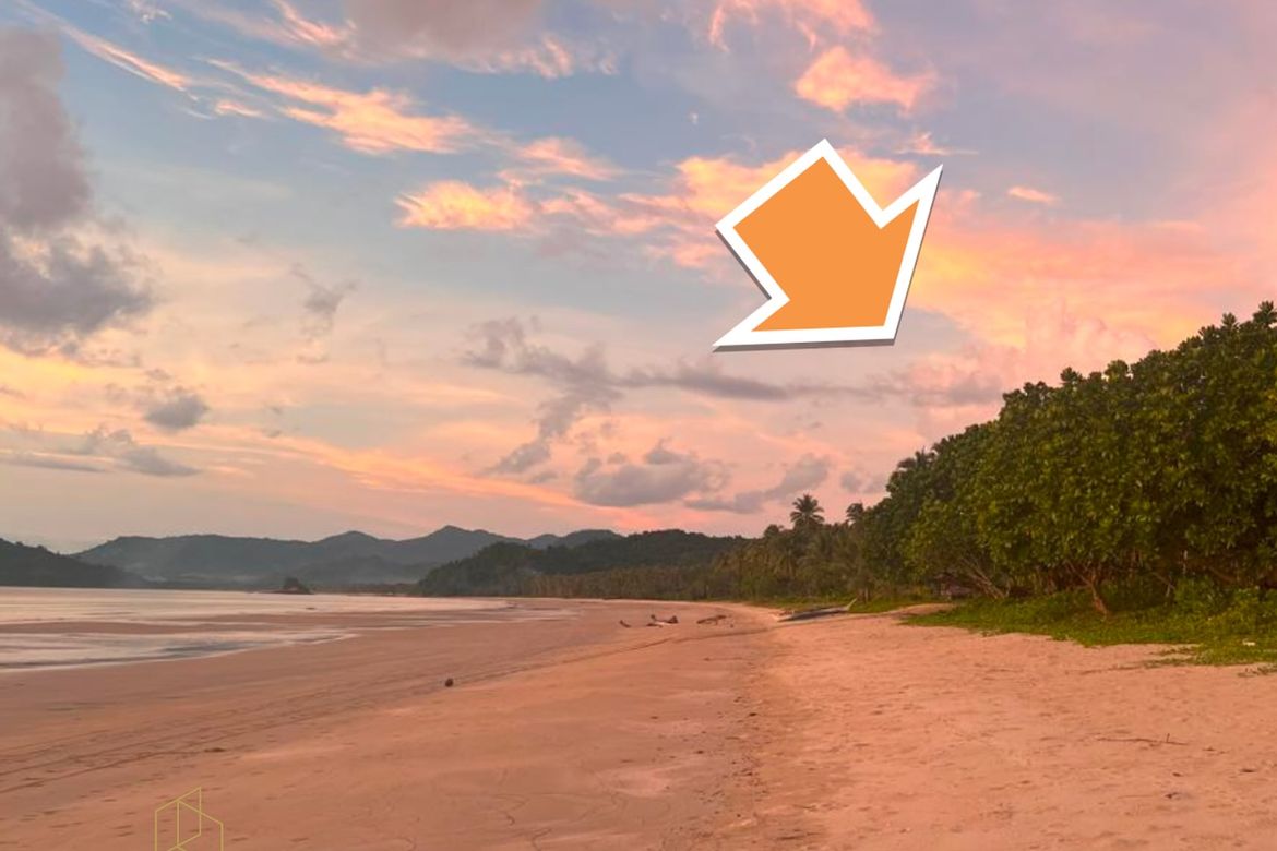 Land for Sale in Alimanguan, San Vicente, Palawan – photo 2