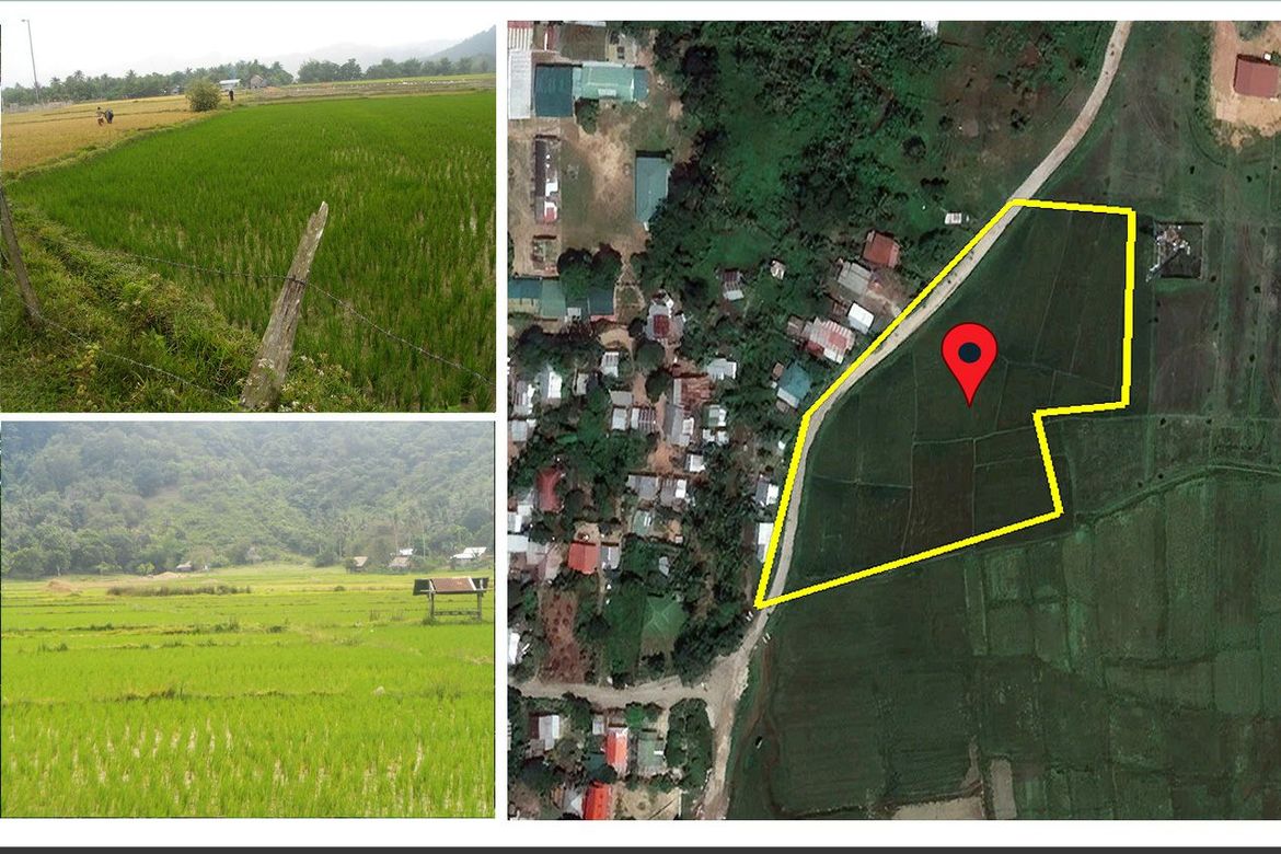 Land for Sale in Alimanguan, San Vicente, Palawan