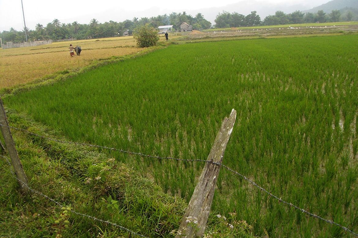 Land for Sale in Alimanguan, San Vicente, Palawan – photo 2