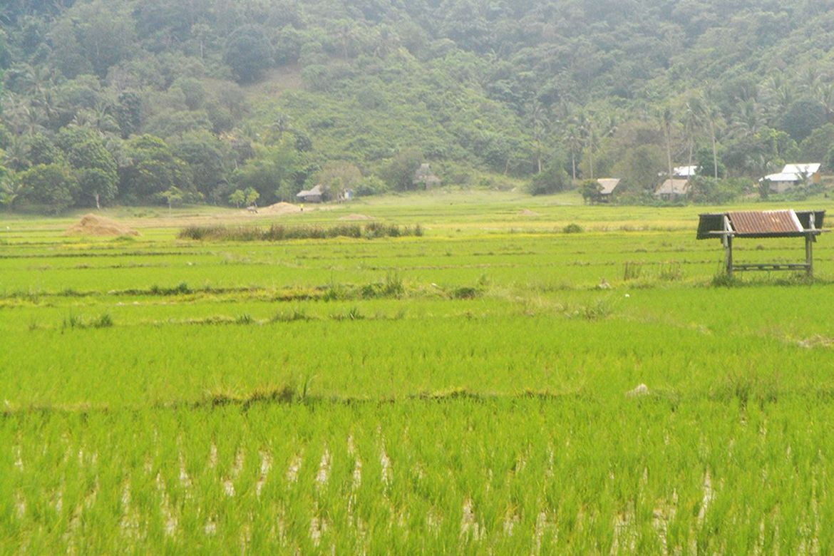 Land for Sale in Alimanguan, San Vicente, Palawan – photo 3