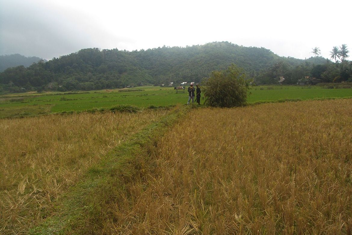 Land for Sale in Alimanguan, San Vicente, Palawan – photo 5