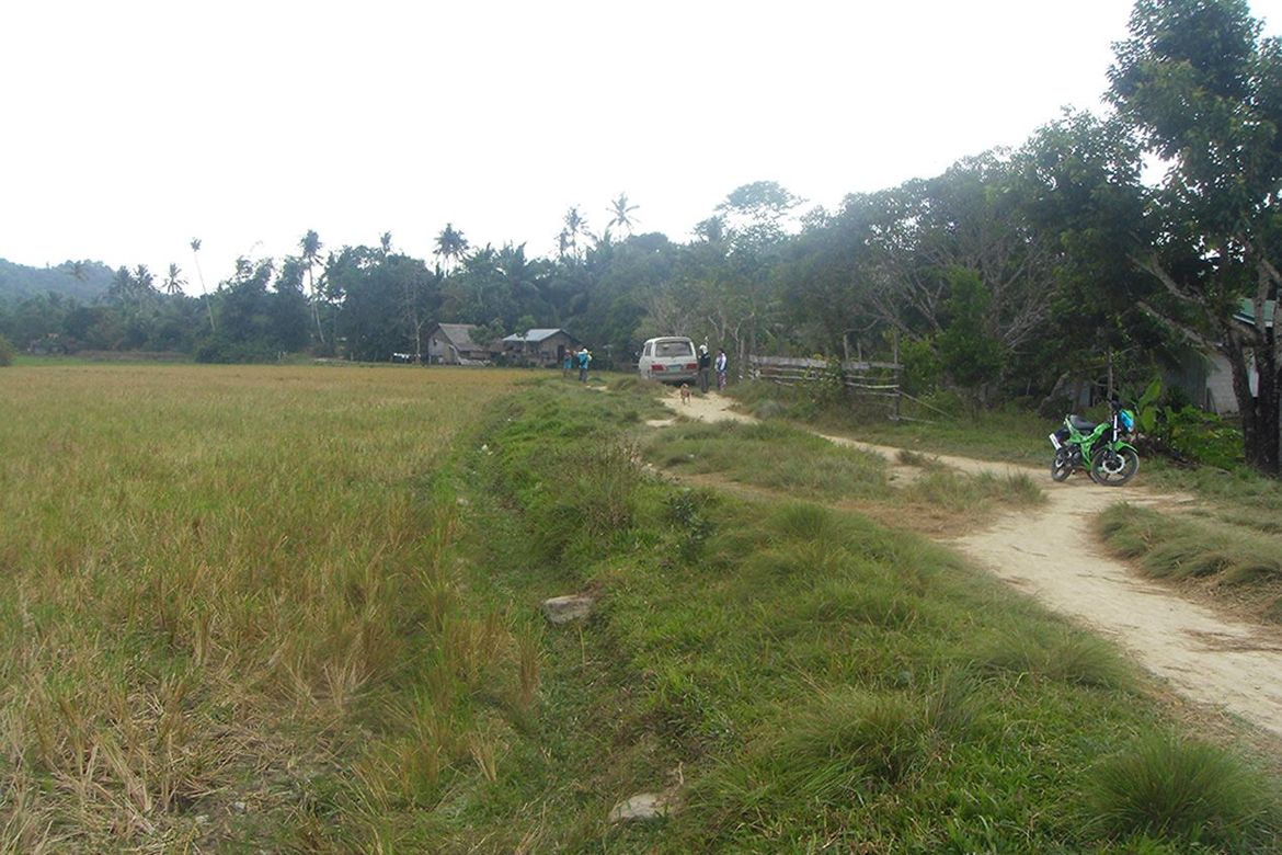 Land for Sale in Alimanguan, San Vicente, Palawan – photo 6