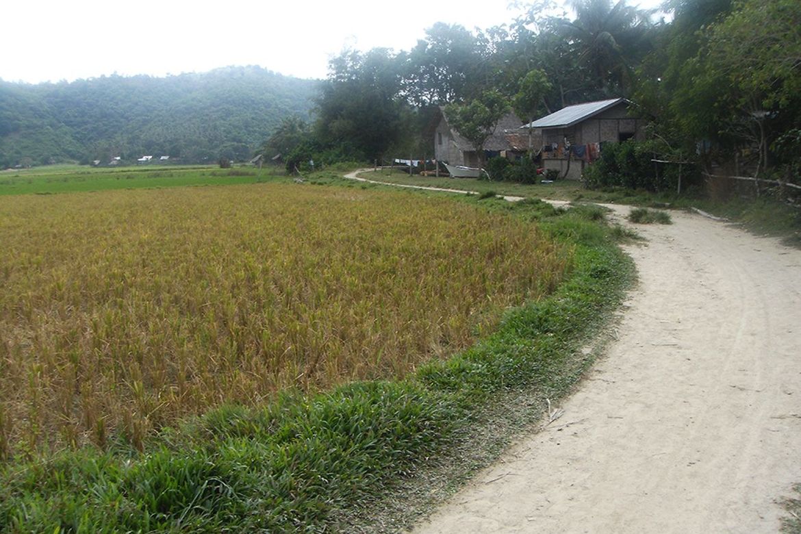 Land for Sale in Alimanguan, San Vicente, Palawan – photo 7