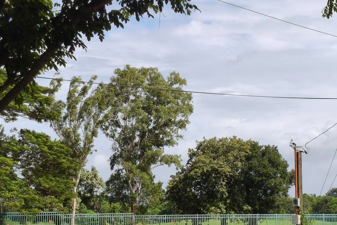 Land for Sale in Alingaro, General Trias, Cavite – photo 2
