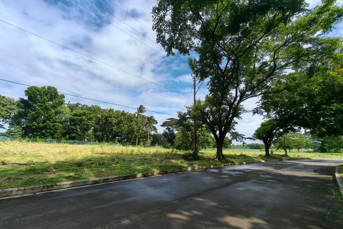 Land for Sale in Alingaro, General Trias, Cavite – photo 3