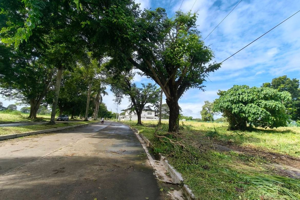 Land for Sale in Alingaro, General Trias, Cavite – photo 4
