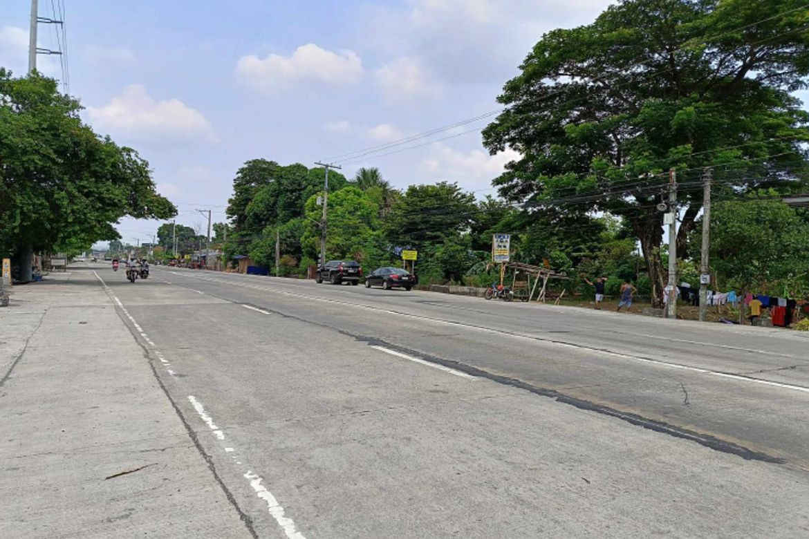 Land for Sale in Alipangpang, Pozorrubio, Pangasinan – photo 2