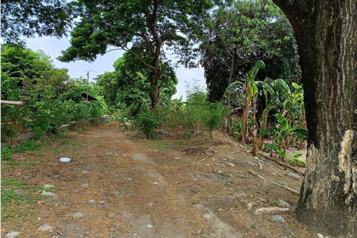 Land for Sale in Alipangpang, Pozorrubio, Pangasinan – photo 4