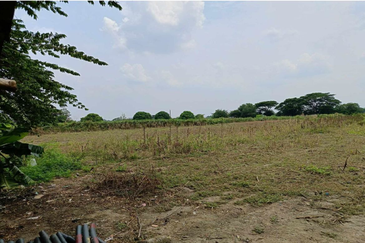 Land for Sale in Alipangpang, Pozorrubio, Pangasinan – photo 6