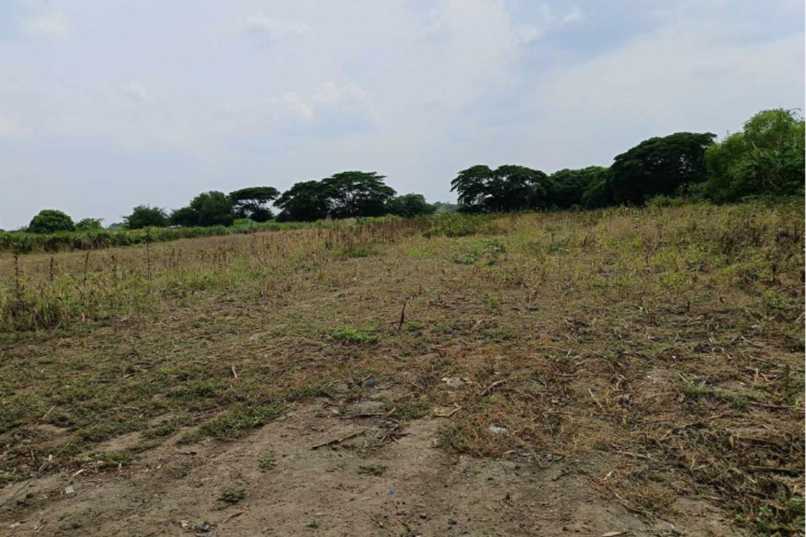 Land for Sale in Alipangpang, Pozorrubio, Pangasinan – photo 7
