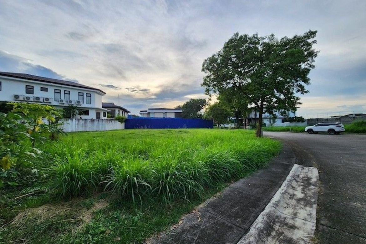 Land for Sale in Almanza Dos, Las Piñas, Metro Manila – photo 3