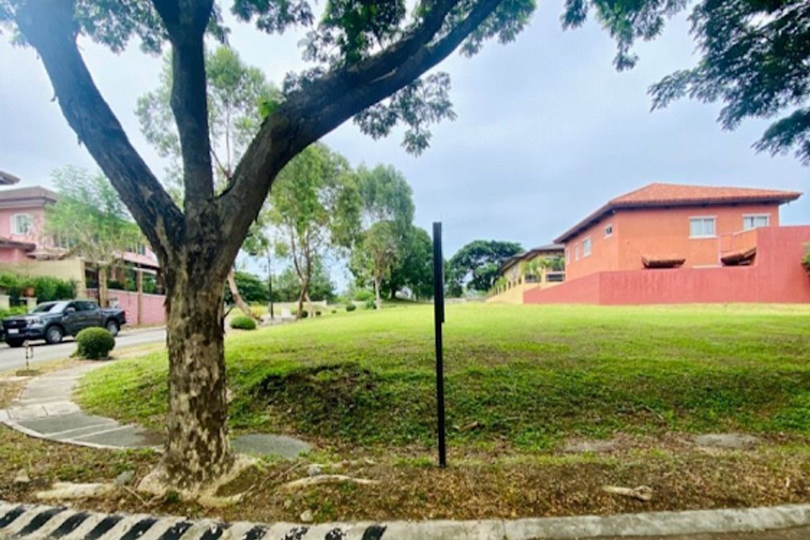 Land for Sale in Almanza Dos, Las Piñas, Metro Manila – photo 3