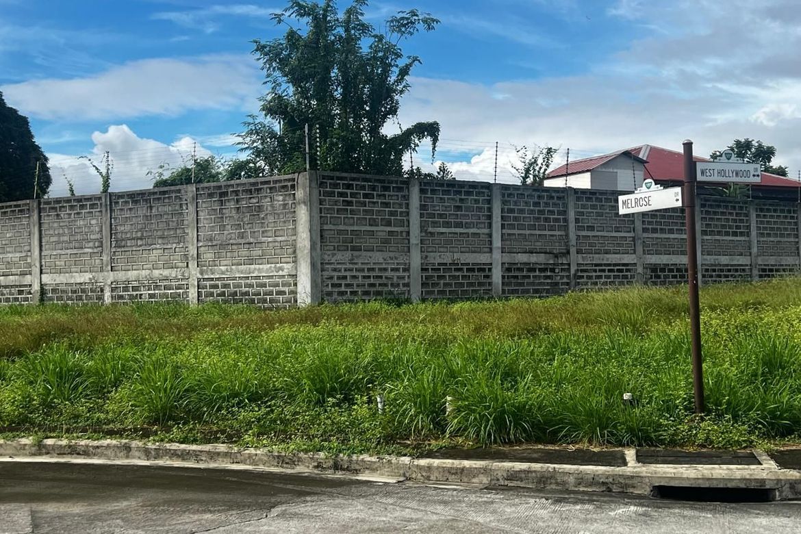 Land for Sale in Almanza Dos, Las Piñas, Metro Manila