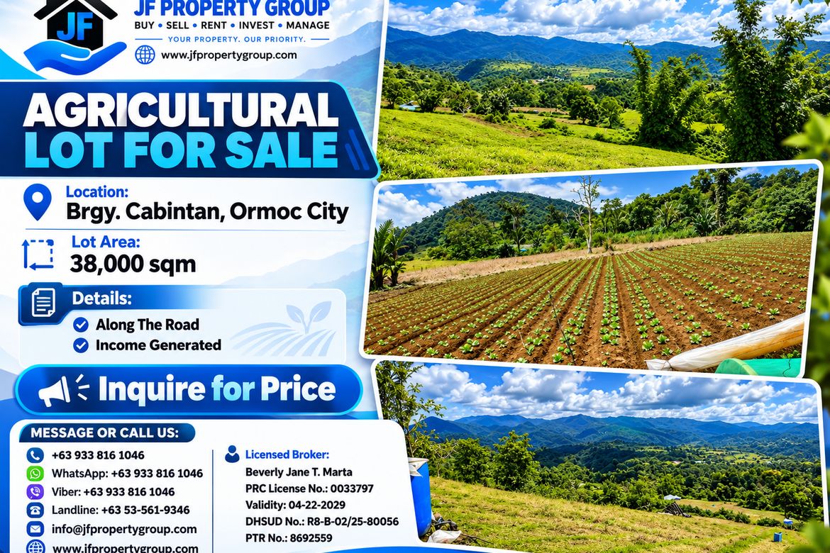 Land for Sale in Alta Vista, Ormoc, Leyte
