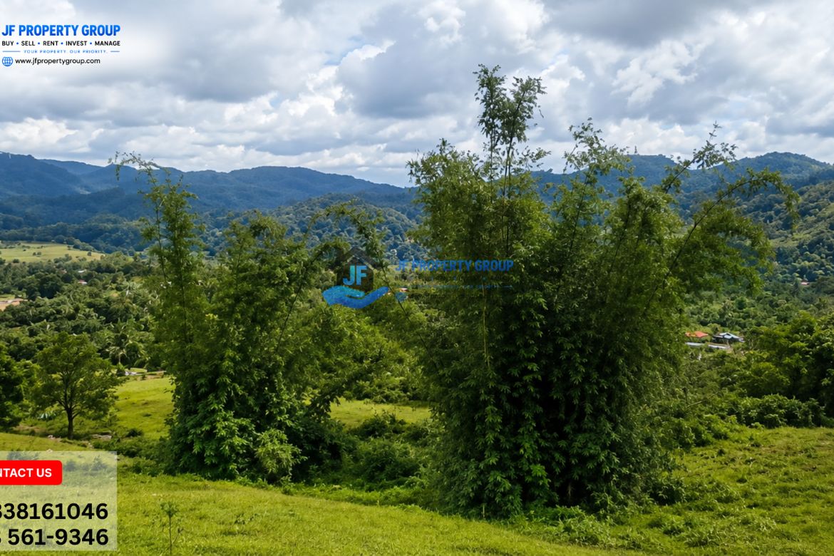 Land for Sale in Alta Vista, Ormoc, Leyte – photo 5