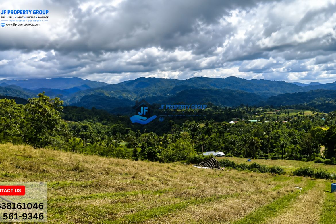 Land for Sale in Alta Vista, Ormoc, Leyte – photo 6