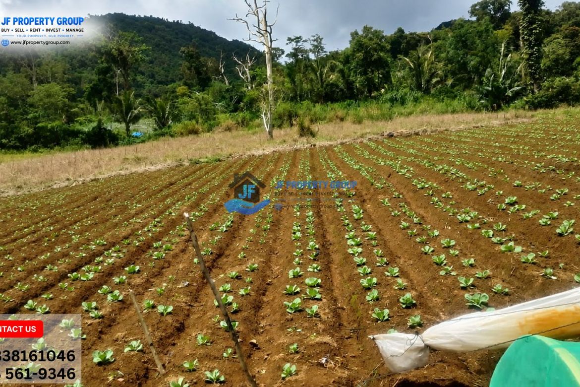 Land for Sale in Alta Vista, Ormoc, Leyte – photo 8