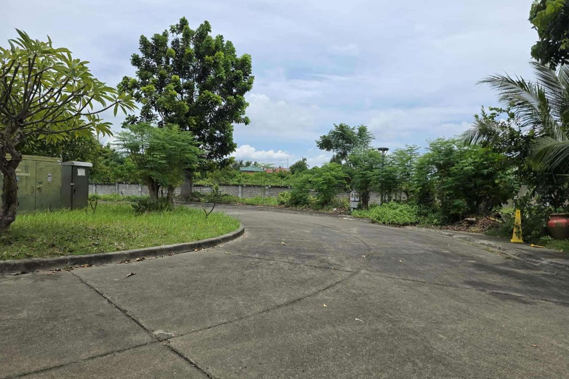 Land for Sale in Amara, Jubay, Liloan, Cebu – photo 4
