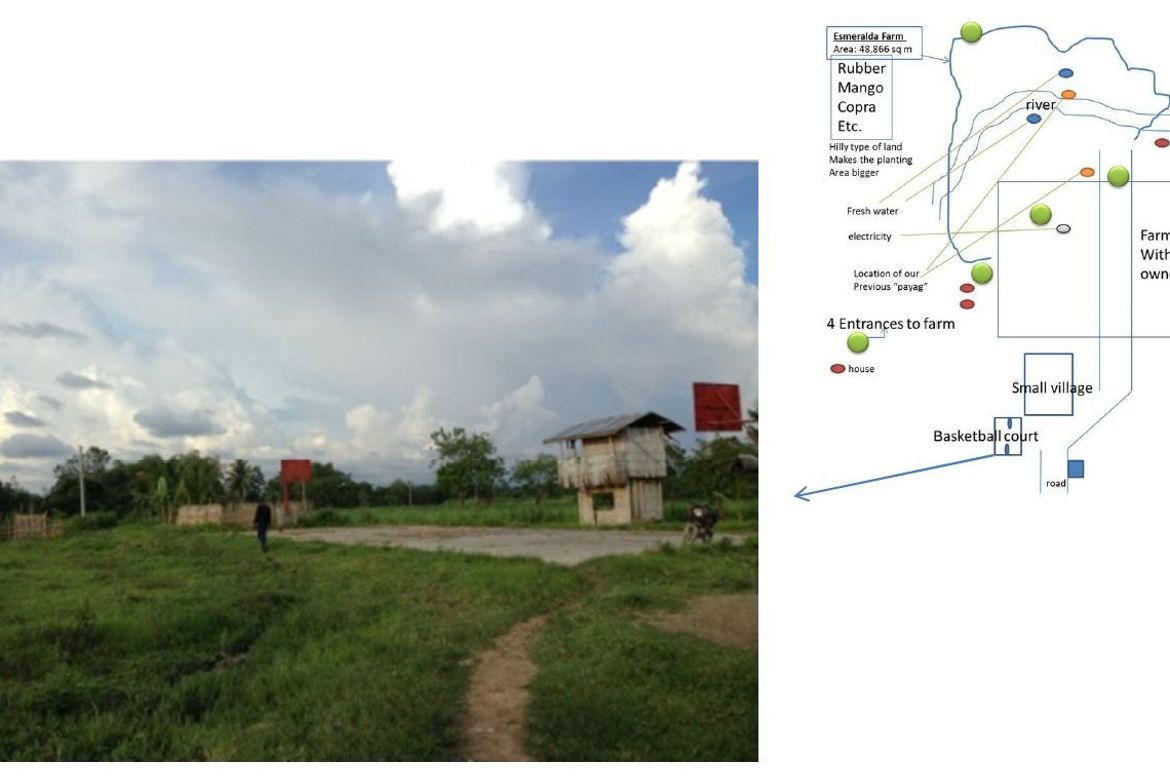 Land for Sale in Amas, Kidapawan, Cotabato – photo 4