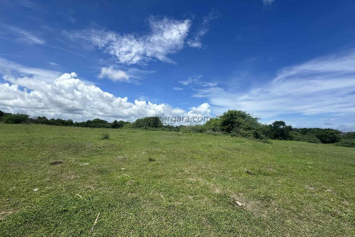 Land for Sale in Amaya II, Tanza, Cavite – photo 4