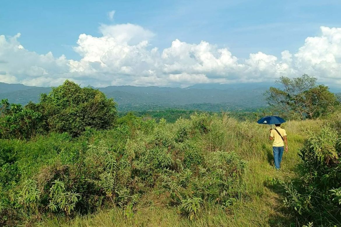 Land for Sale in Ambaracao Norte, Naguilian, La Union – photo 4