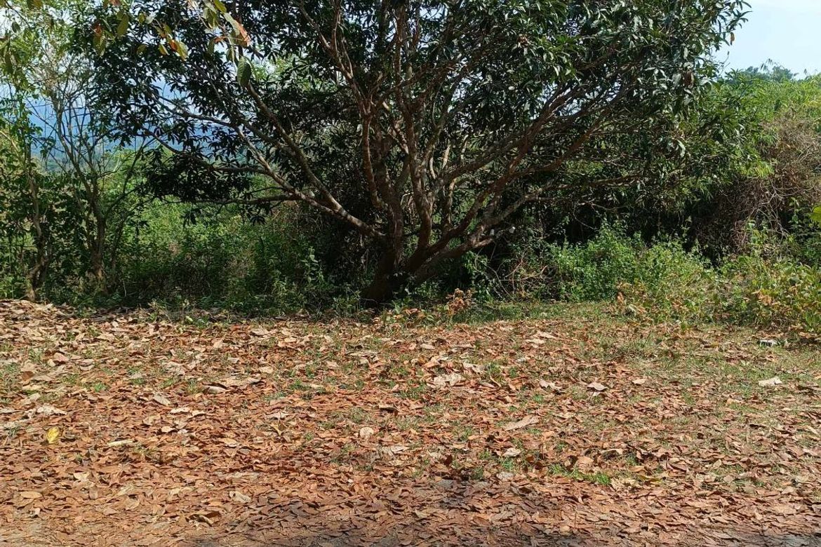 Land for Sale in Ambaracao Norte, Naguilian, La Union – photo 6
