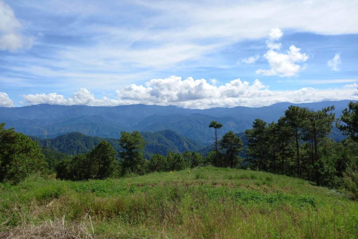 Land for Sale in Ambassador, Tublay, Benguet – photo 3