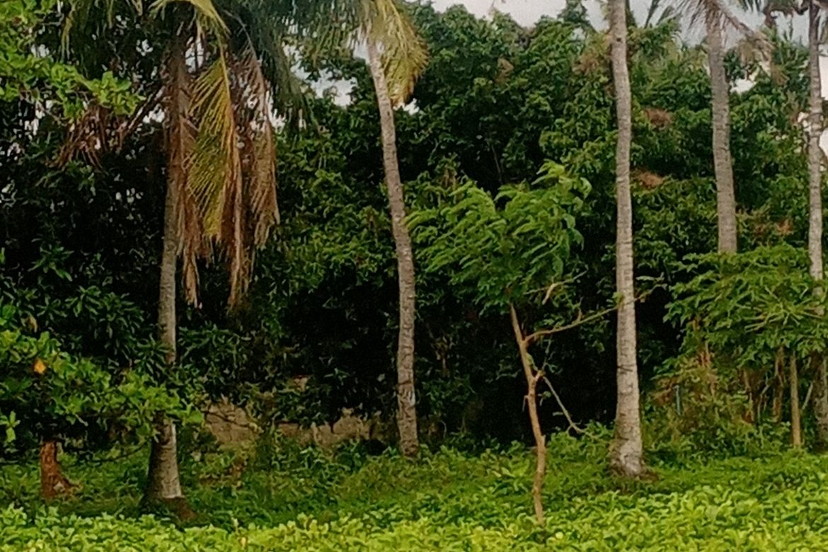 Land for Sale in Ambulong, Tanauan, Batangas – photo 3