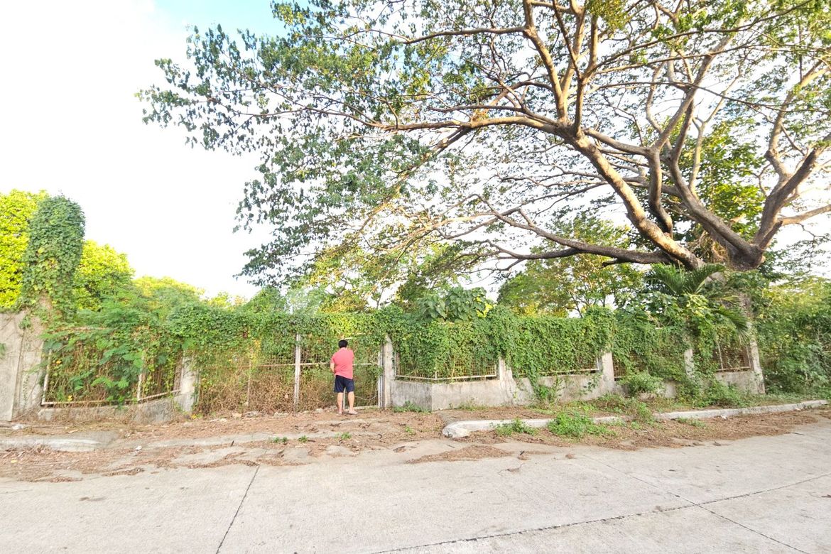 Land for Sale in Ambulong, Tanauan, Batangas