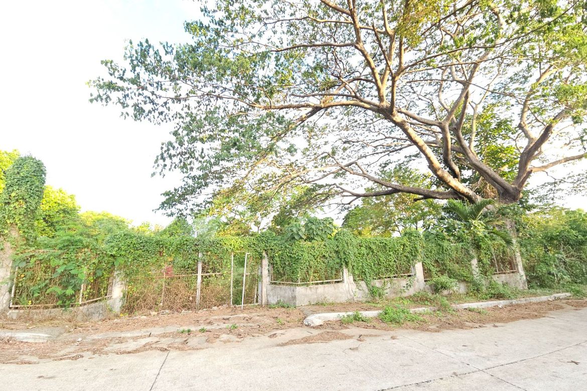 Land for Sale in Ambulong, Tanauan, Batangas – photo 2