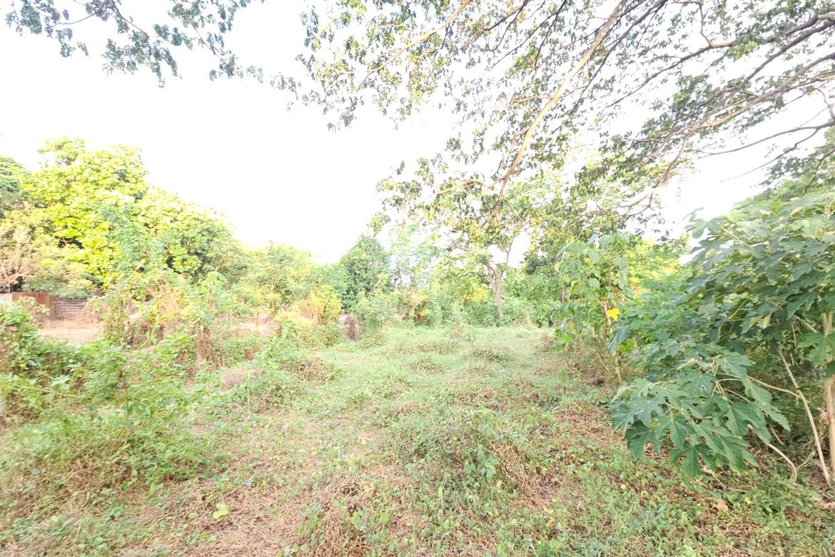 Land for Sale in Ambulong, Tanauan, Batangas – photo 4