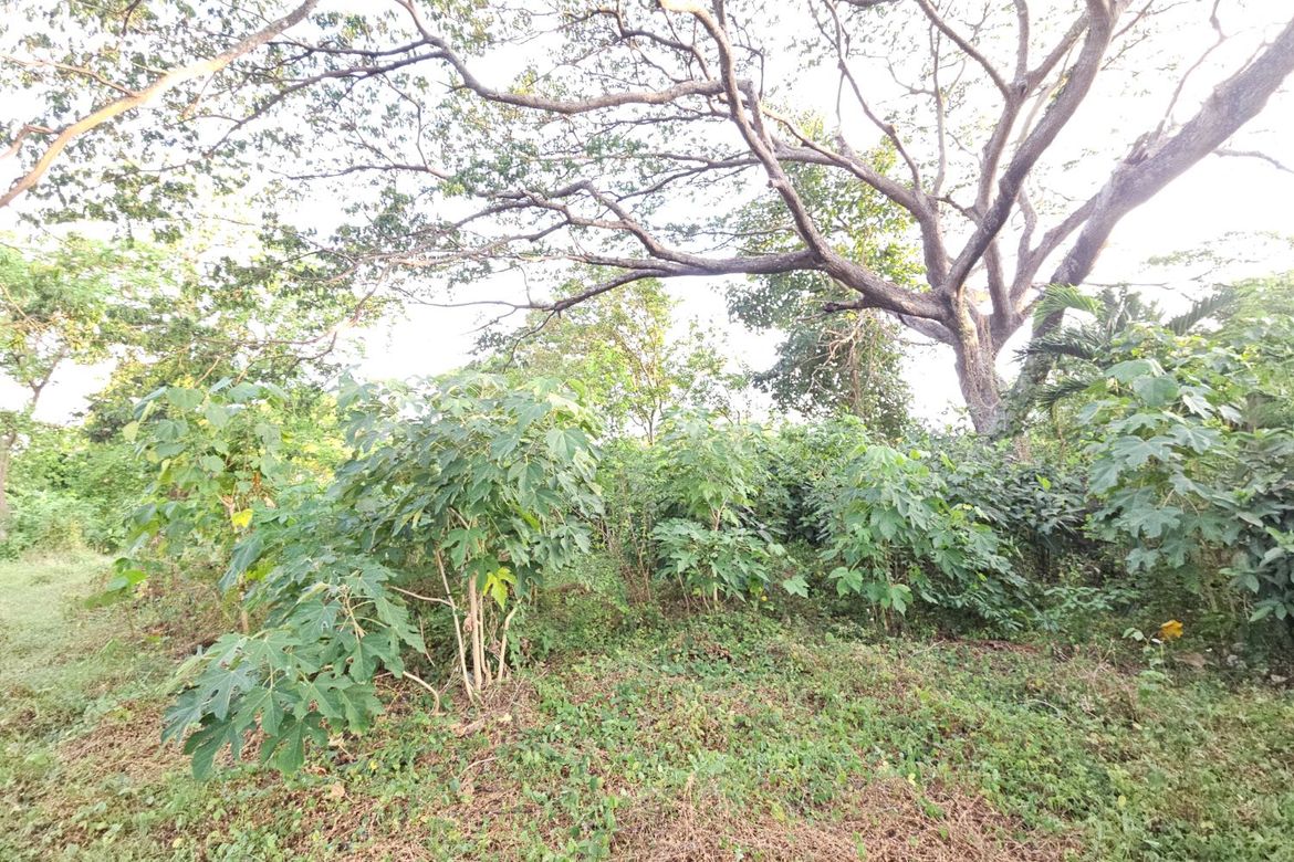 Land for Sale in Ambulong, Tanauan, Batangas – photo 5