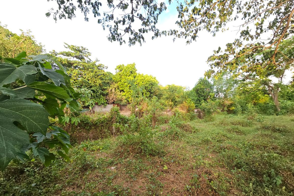 Land for Sale in Ambulong, Tanauan, Batangas – photo 6