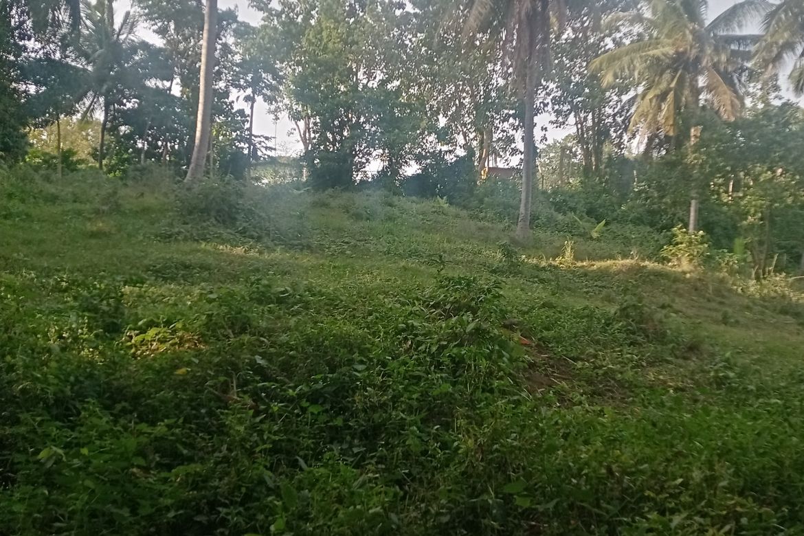 Land for Sale in Ambulong, Tanauan, Batangas