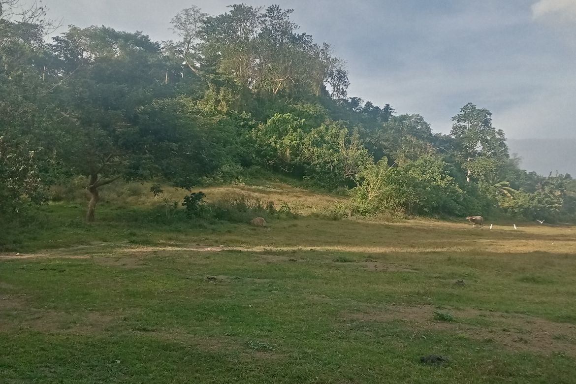 Land for Sale in Ambulong, Tanauan, Batangas – photo 3