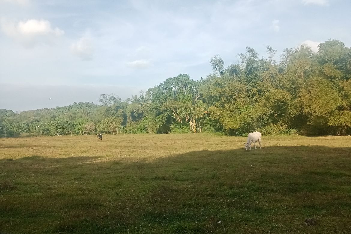Land for Sale in Ambulong, Tanauan, Batangas – photo 5
