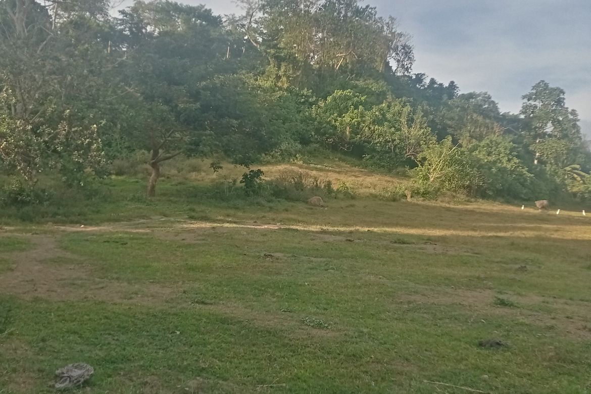 Land for Sale in Ambulong, Tanauan, Batangas – photo 7