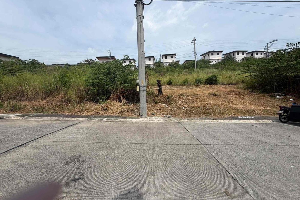 Land for Sale in Amoa - Lot Only, Cabadiangan, Compostela, Cebu – photo 2