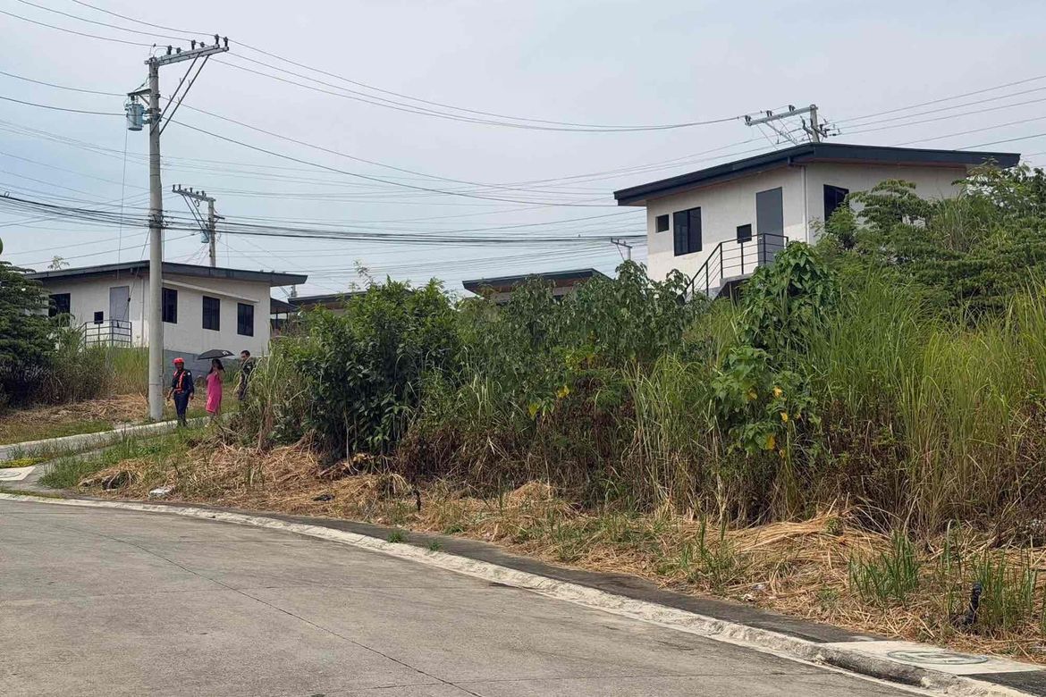 Land for Sale in Amoa - Lot Only, Cabadiangan, Compostela, Cebu – photo 3