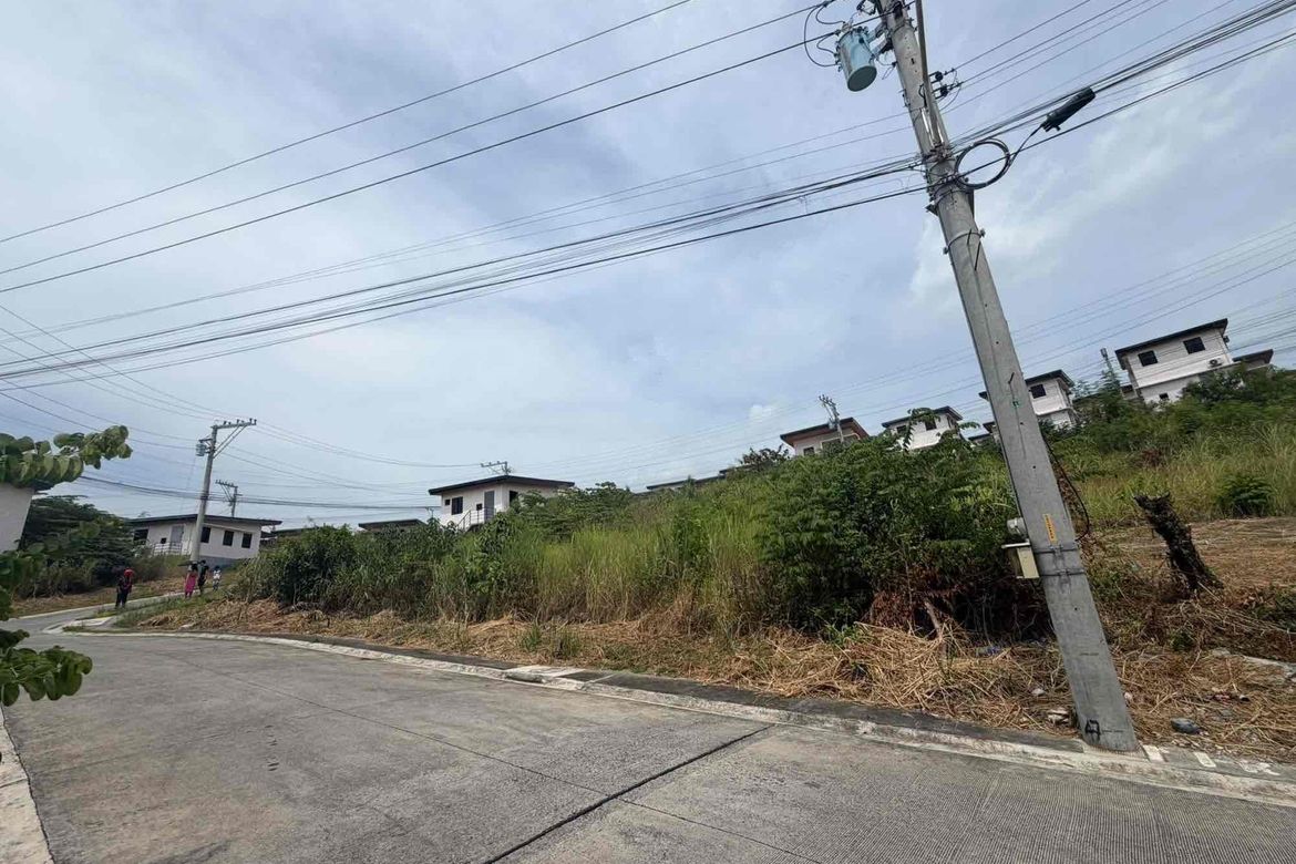 Land for Sale in Amoa - Lot Only, Cabadiangan, Compostela, Cebu – photo 4