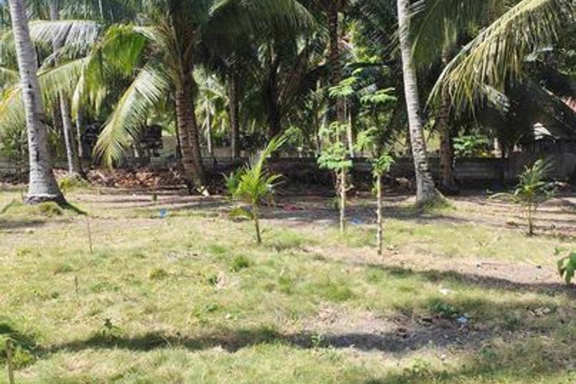 Land for Sale in Ampongol, Sogod, Cebu