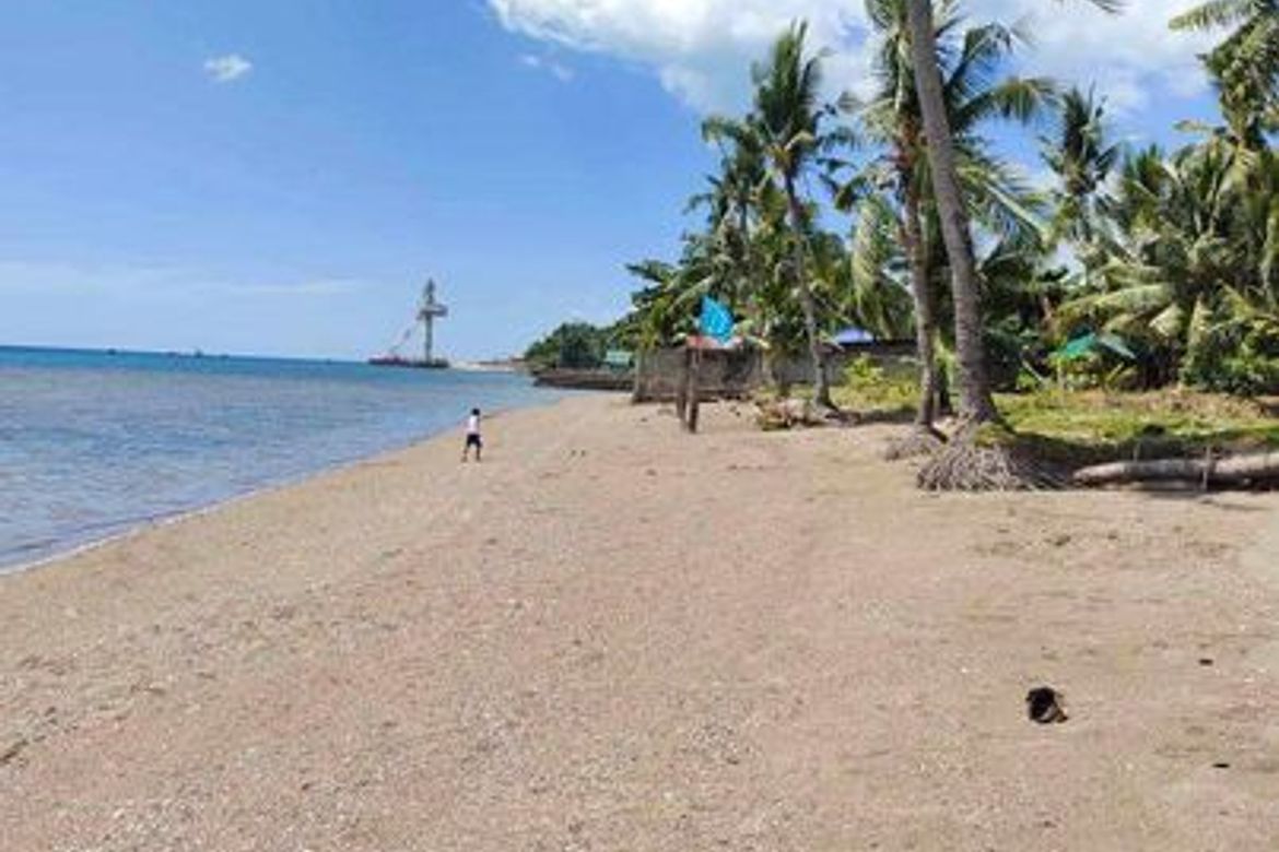 Land for Sale in Ampongol, Sogod, Cebu – photo 2