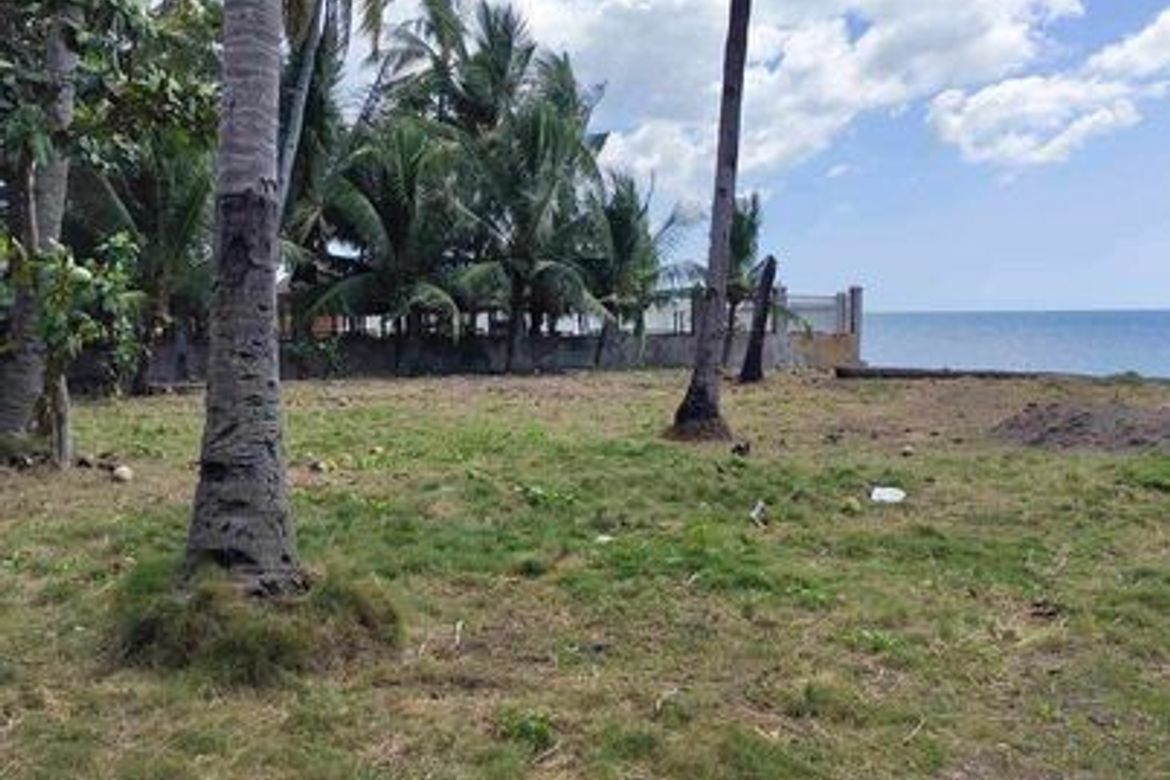 Land for Sale in Ampongol, Sogod, Cebu – photo 3