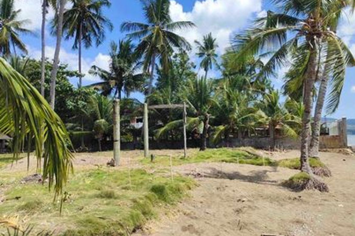 Land for Sale in Ampongol, Sogod, Cebu – photo 4