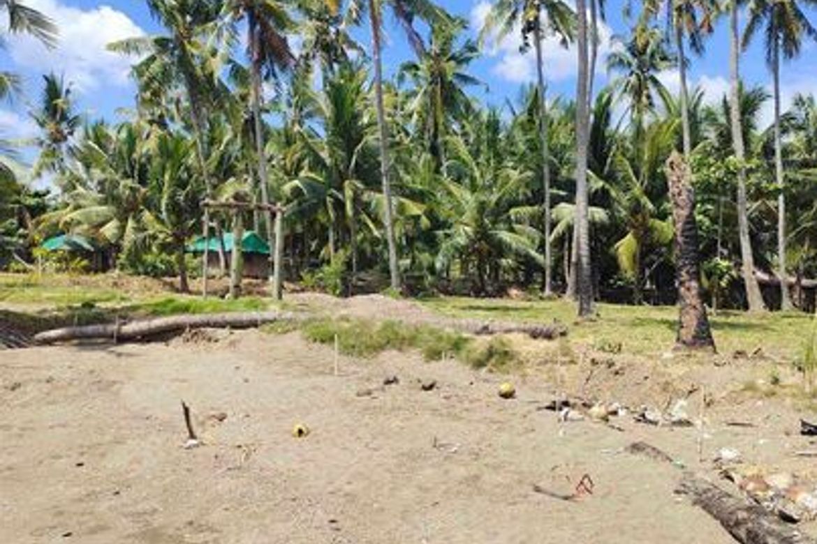Land for Sale in Ampongol, Sogod, Cebu – photo 5